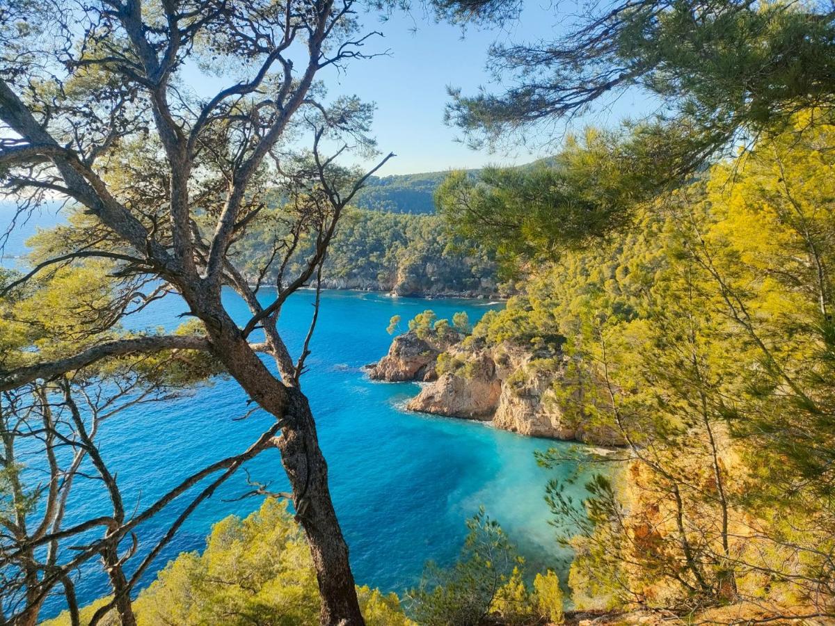 T3 Saint Cyr Sur Mer 83270 외부 사진
